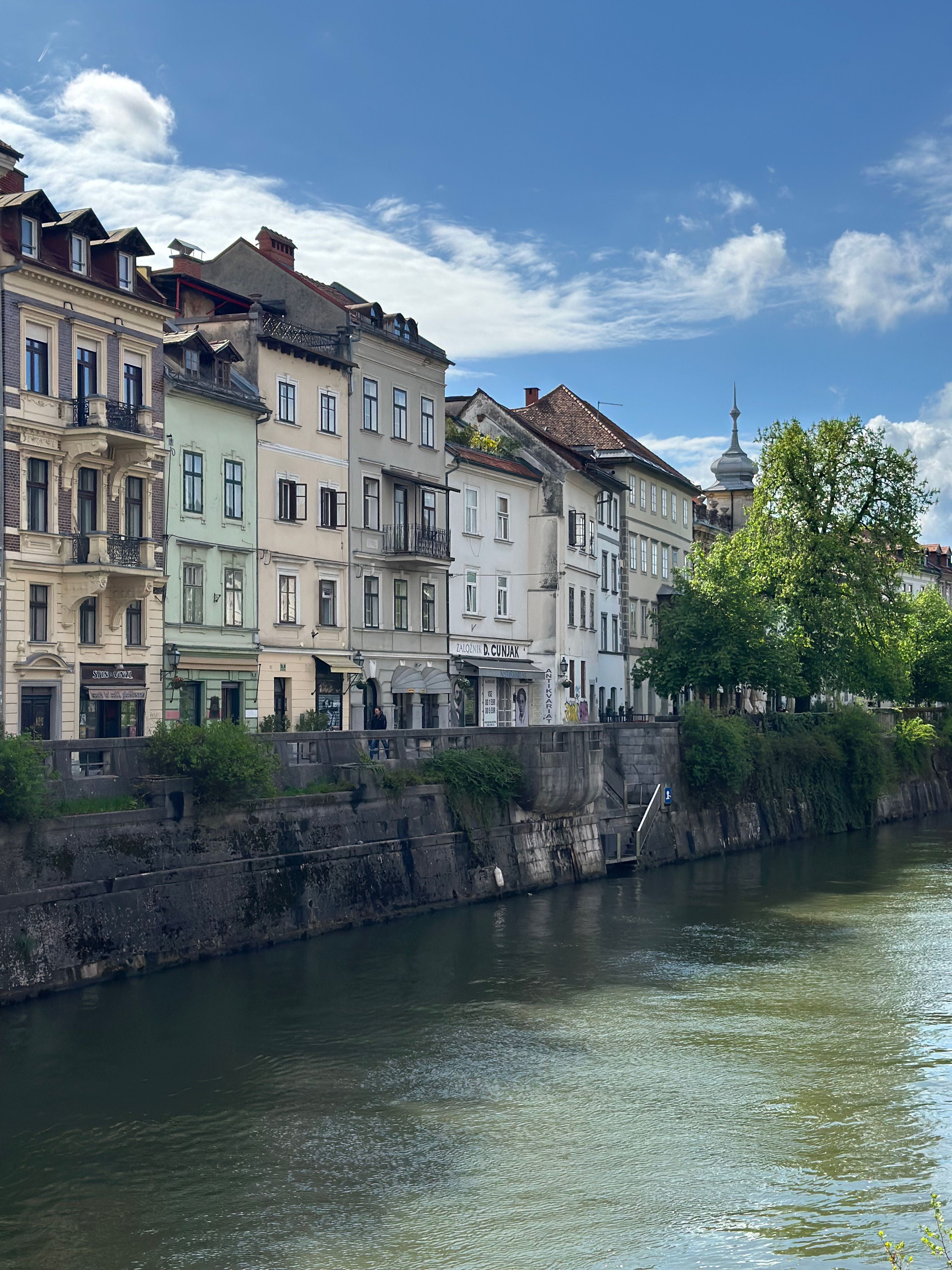 Mestna hiša ob Ljubljanici kot primer nepremičninskega okolja